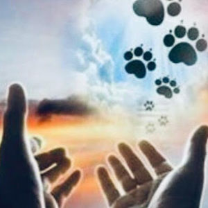 Meet your Posher, Fanny